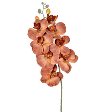 Imagem de HASTE DECORATIVA DE ORQUÍDEA PHALAENOPSIS MARROM EM PLÁSTICO MOLDÁVEL - GRILLO - Grillo Ltda