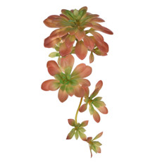 Imagem de PLANTA SUCULENTA ECHEVERIA VERDE OUTONO DECORATIVA EM PLÁSTICO 12X30X14CM - GRILLO - Grillo Ltda
