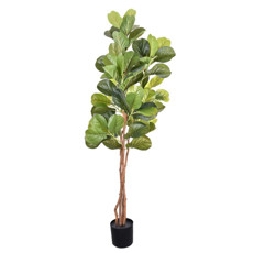 Imagem de PLANTA DECORATIVA FICUS LYRATA VERDE EM PLÁSTICO E 4 TRONCOS NATURAIS - GRILLO - Grillo Ltda