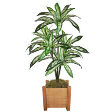 Imagem de PLANTA DIFENBACHIA TROPICAL VERDE DECORATIVA COM FOLHAS PLÁSTICAS MOLDÁVEIS - GRILLO - Grillo Ltda
