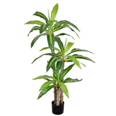 Imagem de PLANTA DECORATIVA DRACENA FOLHAGEM VERDE E 3 TRONCOS EM PLÁSTICO 120X60CM - GRILLO - Grillo Ltda