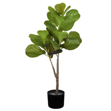 Imagem de PLANTA DECORATIVA FICUS UMBELATTA FOLHAS VERDE EM PLÁSTICO 90X48CM - GRILLO - Grillo Ltda