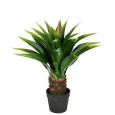 Imagem de PLANTA BABOSA DECORATIVA VERDE EM PLÁSTICO 65X59CM - GRILLO - Grillo Ltda