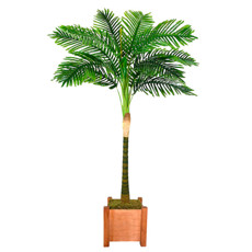 Imagem de PLANTA DECORATIVA PALMEIRA FOLHAS VERDE EM PLÁSTICO 175X110CM - GRILLO - Grillo Ltda