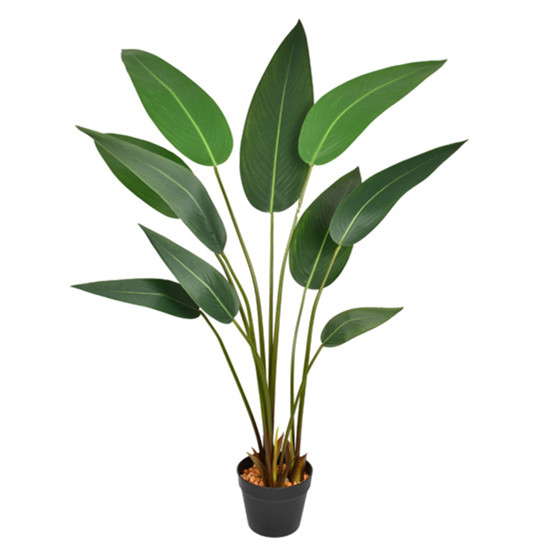 Imagem HASTES DE FOLHAS DE STRELITZIA REAL VERDE EM PLÁSTICO 140X62CM - GRILLO