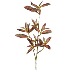 Imagem de HASTE DECORATIVA DE FOLHAS DE SKIMMIA VERMELHO OUTONO EM PLÁSTICO 94X13CM - GRILLO - Grillo Ltda