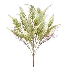 Imagem de BUQUÊ DECORATIVO DE SAMAMBAIA CREME EM PLÁSTICO MOLDÁVEL 62X14CM - GRILLO - Grillo Ltda
