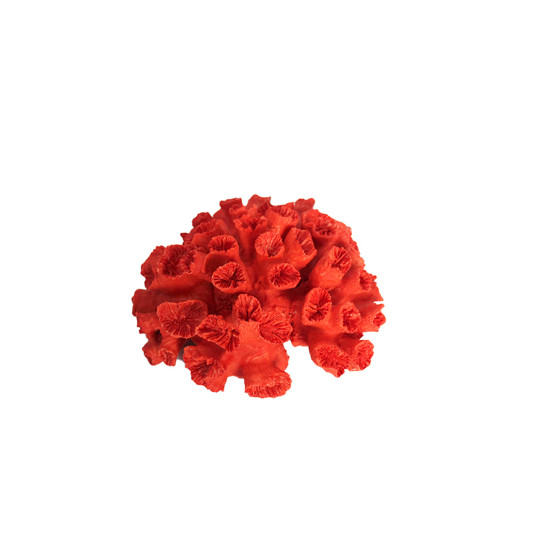 Imagem ESCULTURA DECORATIVA EM FORMATO DE CORAL EM RESINA VERMELHA 9X20X20CM - LUCATTI