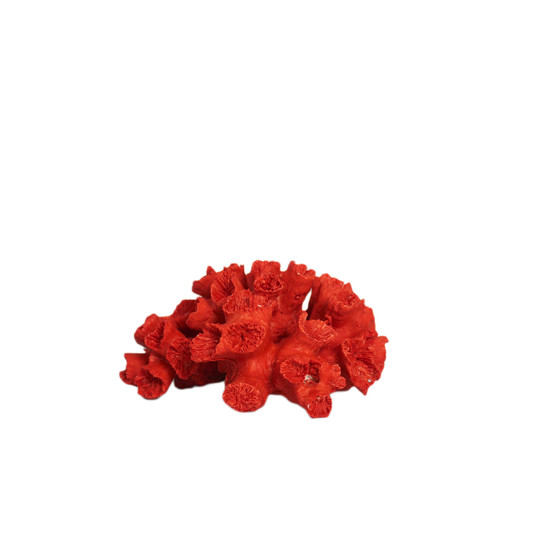 Imagem ESCULTURA DECORATIVA EM FORMATO DE CORAL EM RESINA VERMELHA 9X20X20CM - LUCATTI