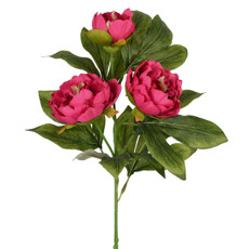 Imagem de HASTE DECORATIVA DE PEÔNIA DO CAMPO ROSA ESCURO EM PLÁSTICO MOLDÁVEL 78X21CM GRILLO - Grillo Ltda