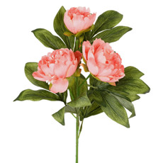 Imagem de HASTE DECORATIVA DE PEÔNIA DO CAMPO SALMÃO EM PLÁSTICO MOLDÁVEL 78X21CM - GRILLO - Grillo Ltda
