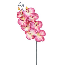 Imagem de HASTE DECORATIVA DE ORQUÍDEA PHALAENOPSIS ROSA CREME EM PLÁSTICO MOLDÁVEL - GRILLO - Grillo Ltda