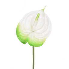 Imagem de HASTE DECORATIVA DE ANTÚRIO BRANCO EM PLÁSTICO MOLDÁVEL 70X15CM - GRILLO - Grillo Ltda