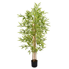 Imagem de PLANTA BAMBU TOQUE REAL VERDE COM 4 TRONCOS NATURAIS E POTE PLÁSTICO PRETO - GRILLO - Grillo Ltda