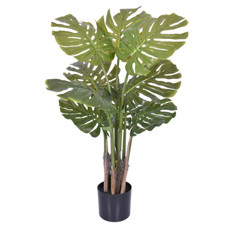 Imagem de PLANTA DECORATIVA COSTELA DE ADÃO VERDE COM FOLHAS EM PVC E TRONCO EM PLÁSTICO  GRILLO - Grillo Ltda