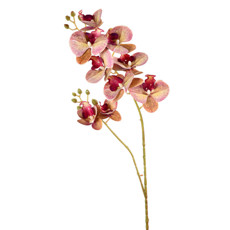 Imagem de HASTE DE ORQUÍDEA PHALAENOPSIS 3D LAVANDA TOQUE REAL EM PLÁSTICO MOLDÁVEL - GRILLO - Grillo Ltda