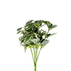 Imagem de FOLHAGEM DECORATIVA COR VERDE EM PLÁSTICO 35CM - GRILLO 58937 - Grillo Ltda