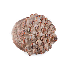Imagem de PINHA NATALINA DECORATIVA EM RESINA MARROM NATURAL 12CM - GRILLO - Grillo Ltda