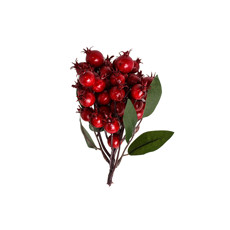 Imagem de COMPLEMENTO DE BERRIES VERMELHAS E FOLHAGEM VERDE DE PLÁSTICO 20X17CM - GRILLO - Grillo Ltda