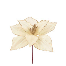 Imagem de HASTE DECORATIVA DE POINSÉTIA OFF WHITE 20X23CM - GRILLO - Grillo Ltda