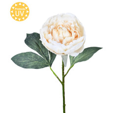 Imagem de HASTE DECORATIVA DE PEÔNIA BEGE DE PLÁSTICO MOLDÁVEL 53X21CM - GRILLO - Grillo Ltda