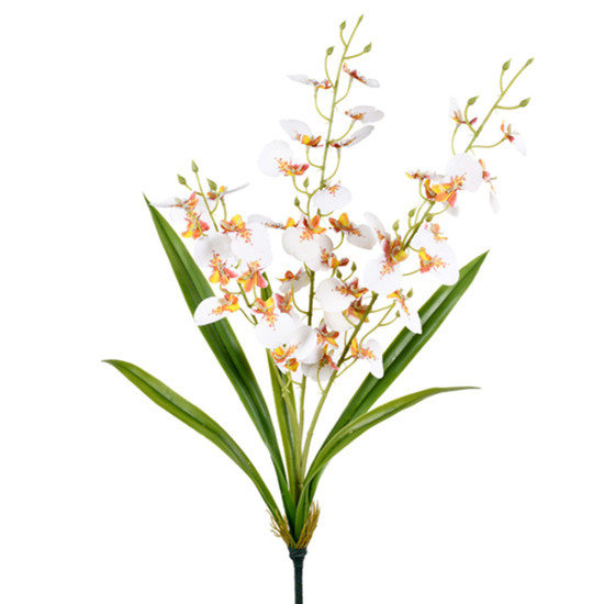 Imagem HASTE DECORATIVA DE ORQUÍDEA CHUVA DE OURO BRANCO DE PLÁSTICO 50X26X26CM - GRILLO