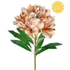 Imagem de HASTE DECORATIVA DE LÍRIO PERUANO CAFÉ DE PLÁSTICO MOLDÁVEL 61X15CM - GRILLO - Grillo Ltda