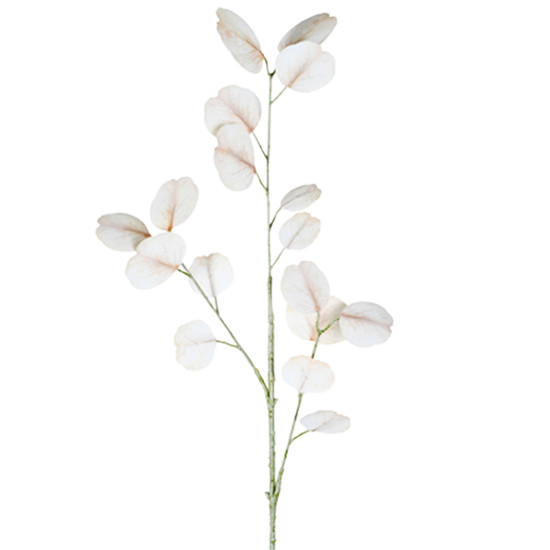 Imagem HASTE DECORATIVA DE EUCALIPTO TOQUE REAL BEGE DE PLÁSTICO MOLDÁVEL 42X23CM - GRILLO